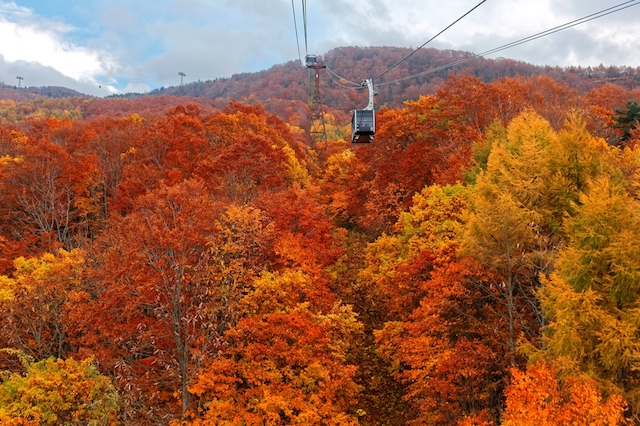 全国紅葉の絶景 秋を装った山々が連なる 山形県の紅葉人気スポット Tabizine 人生に旅心を