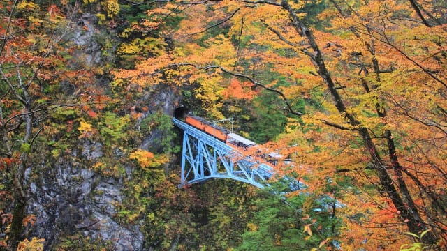 全国紅葉の絶景 トロッコ電車で揺られて行く 富山県の紅葉人気スポット Tabizine 人生に旅心を