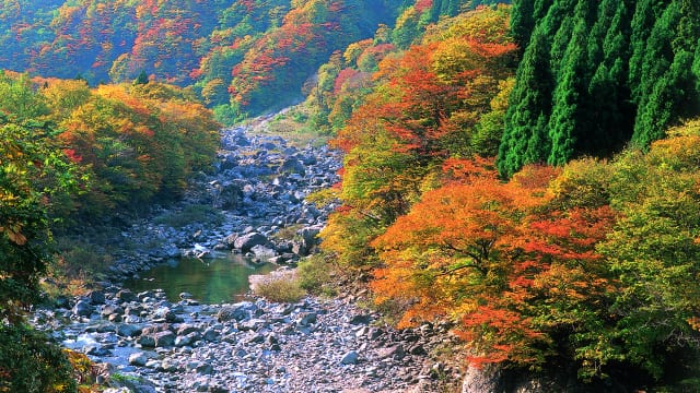 全国紅葉の絶景 ゆったりと穏やかに見る 福井県の紅葉人気スポット Tabizine 人生に旅心を