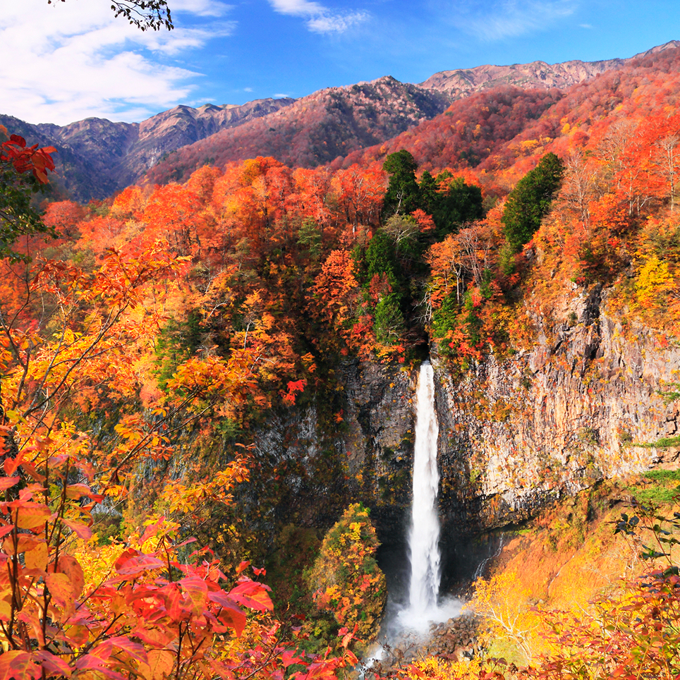 岐阜県　白水の滝