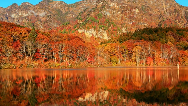 289800-01-640x360.jpg