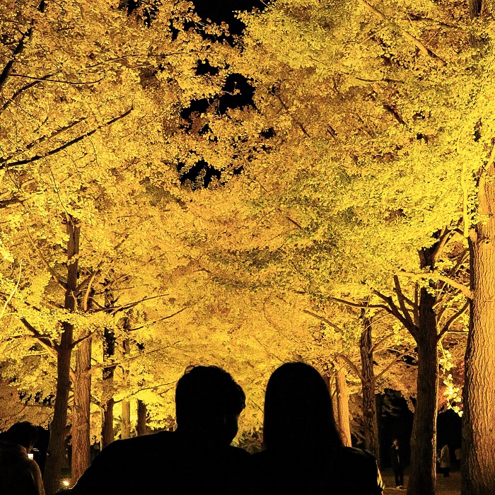 【全国紅葉の絶景】ロマンティックな秋が見つかる、茨城県の紅葉人気スポット