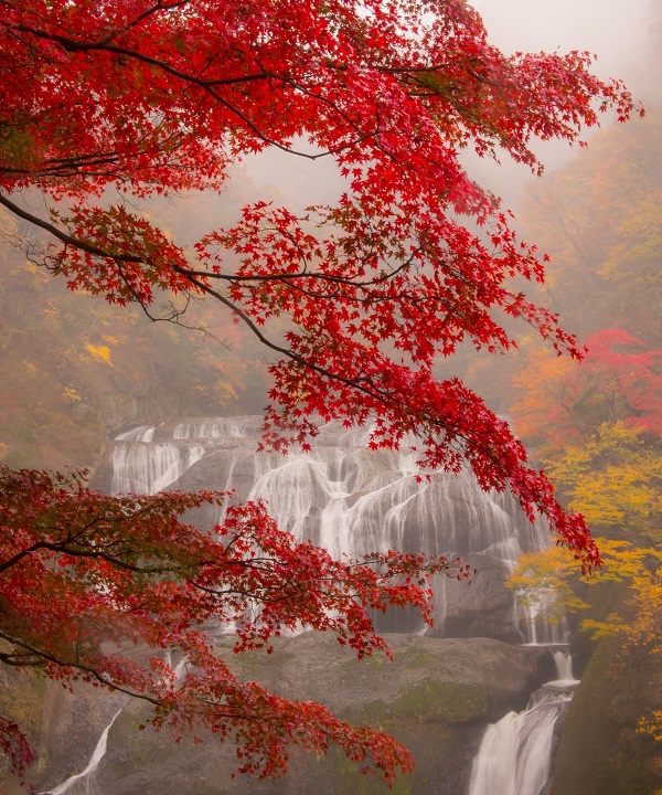 霧の中の袋田の滝