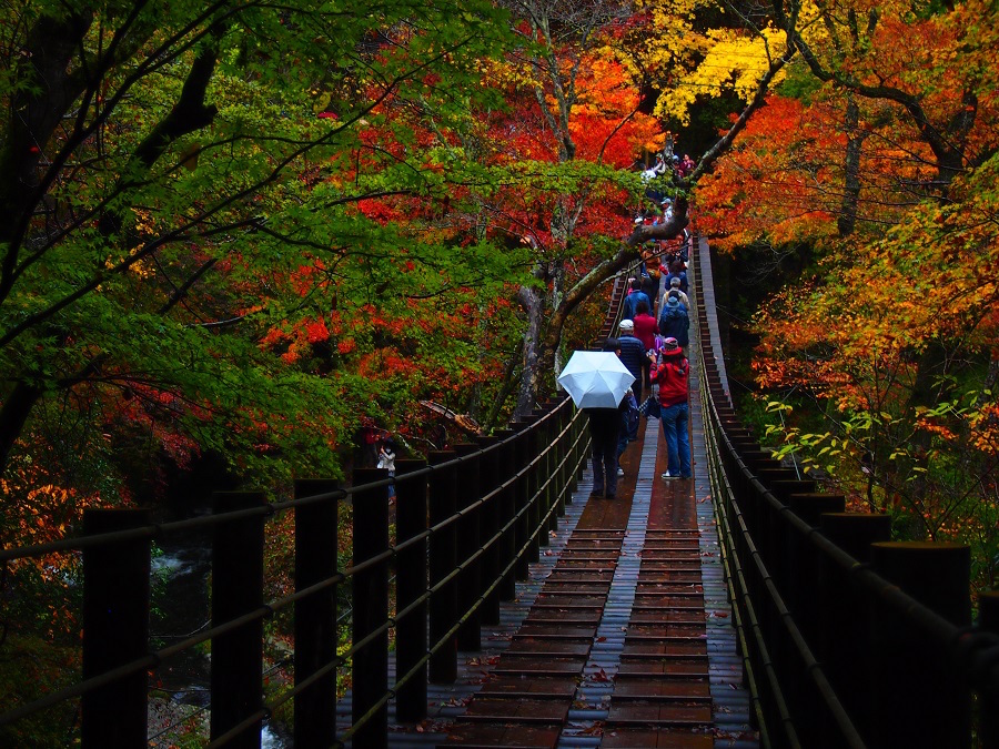 花貫渓谷　橋