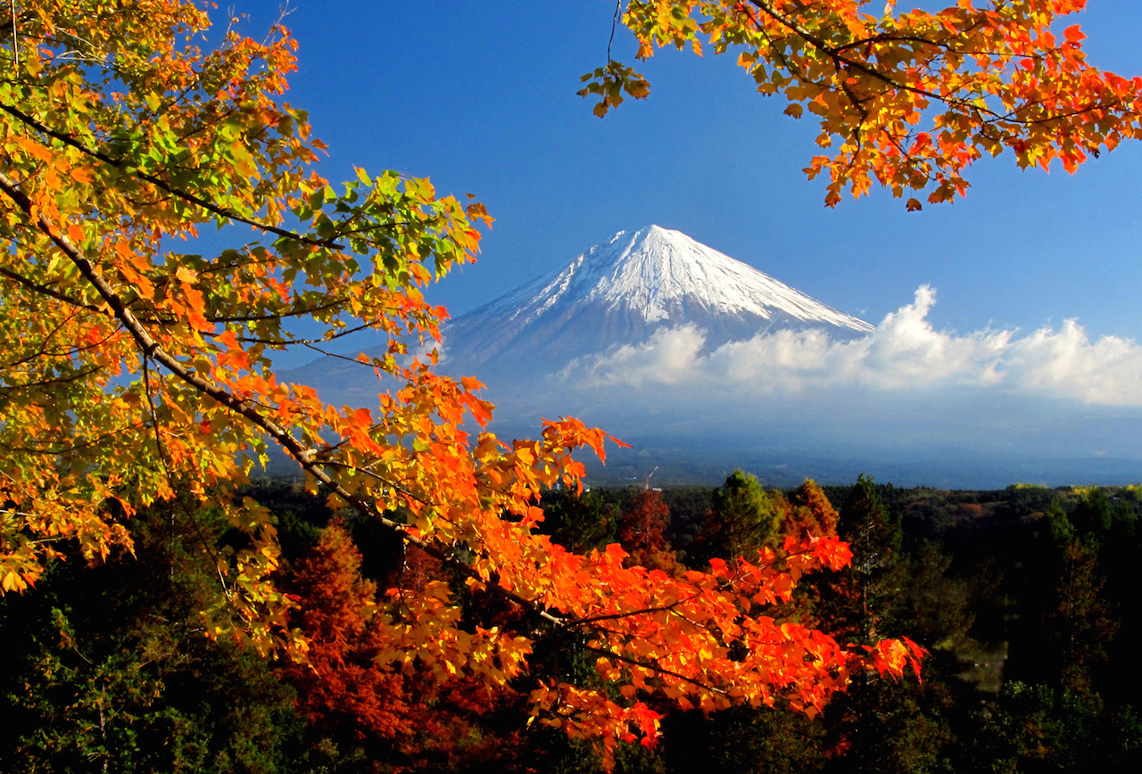 静岡　富士山と紅葉