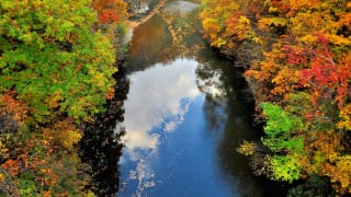 錦橋と舞鶴の瀞1