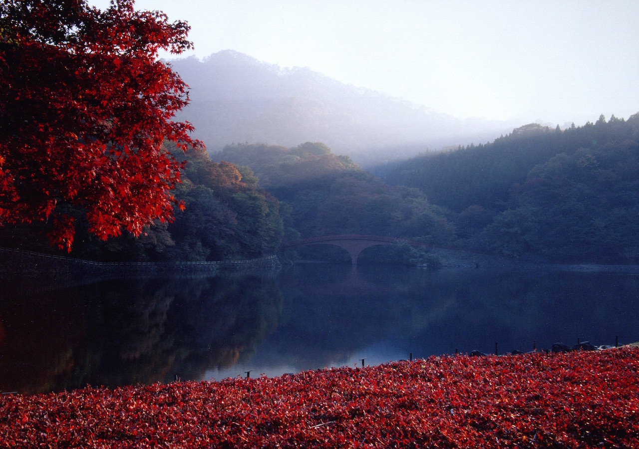 全国紅葉の絶景 秋色に染まる山々に憩う 群馬県の紅葉人気スポット Tabizine 人生に旅心を