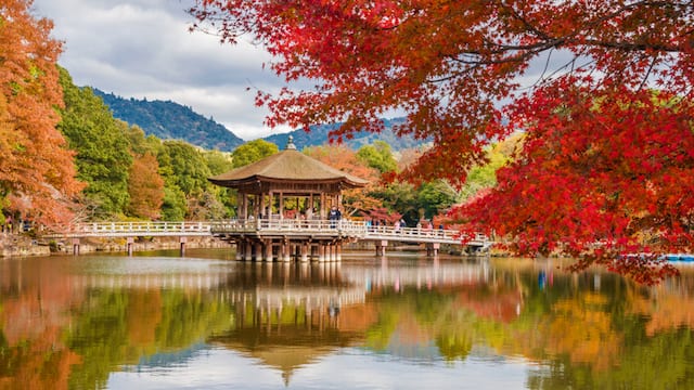 全国紅葉の絶景 歴史が息づく 奈良県の紅葉人気スポット Tabizine 人生に旅心を