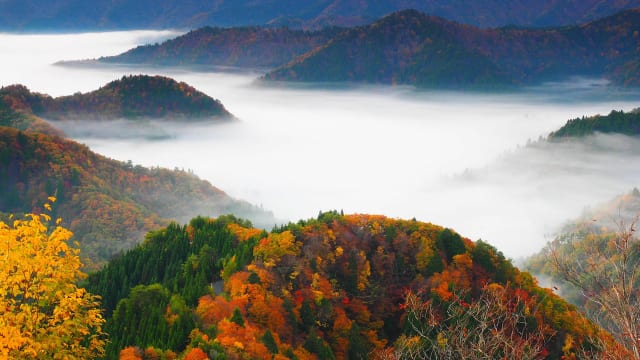 295372-03-640x360.jpg