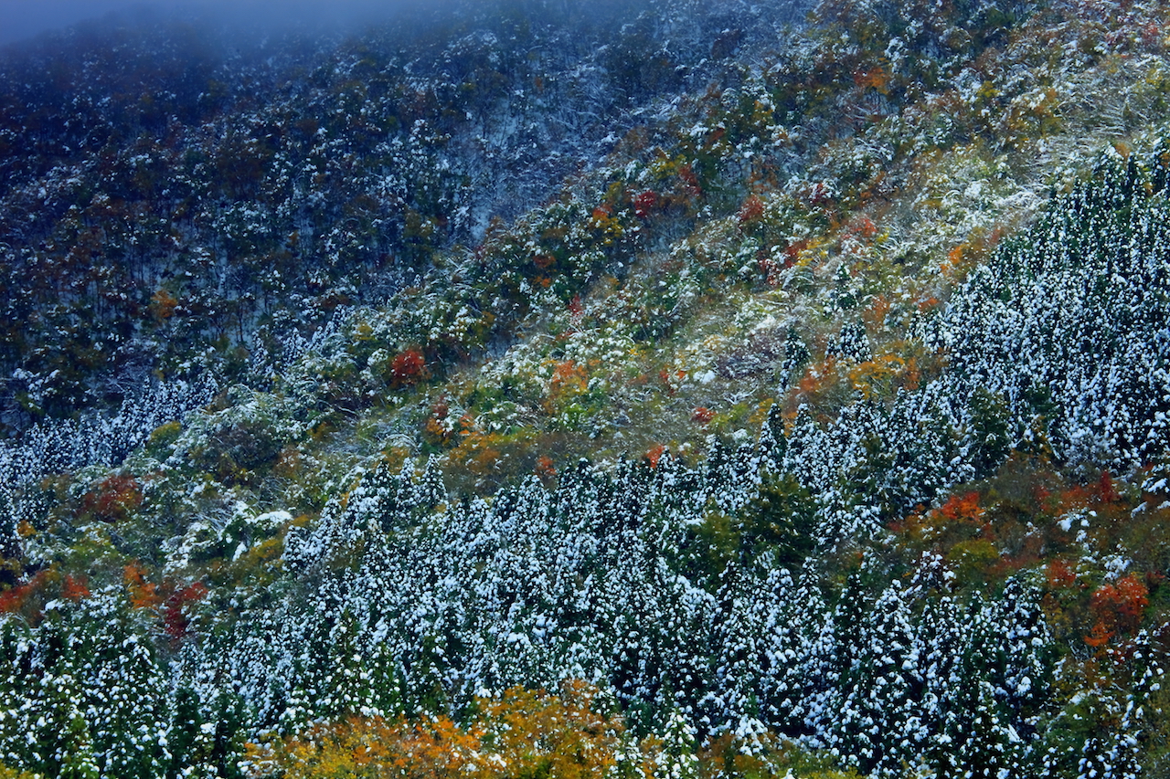 【全国紅葉の絶景】名峰「大山」が七色に染まる、鳥取県の紅葉人気スポット