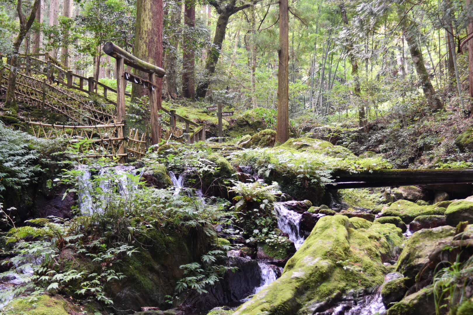 秋も美しい！「神泉」と呼ばれる福井の名水百選・瓜割の滝