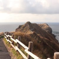 秋の神威岬