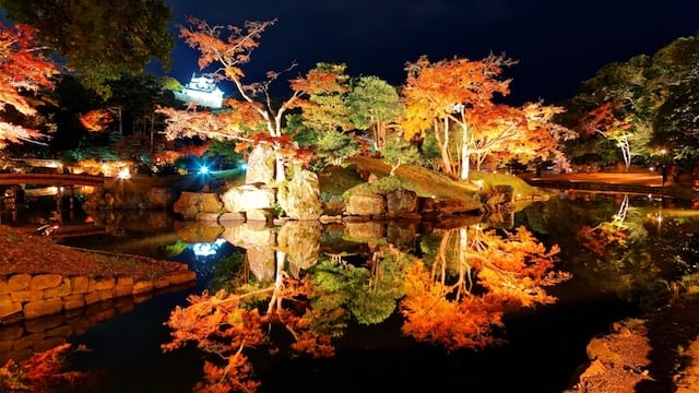 彦根城の庭園 玄宮園 が夜間特別公開 期間限定紅葉ライトアップが美しすぎる Tabizine 人生に旅心を