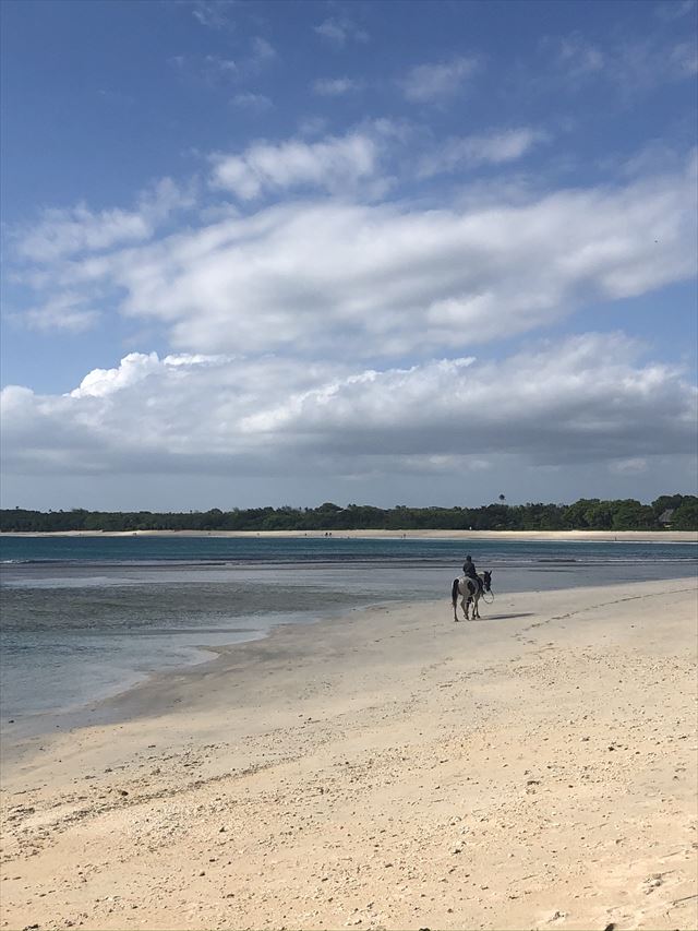 ナタンドラビーチと馬