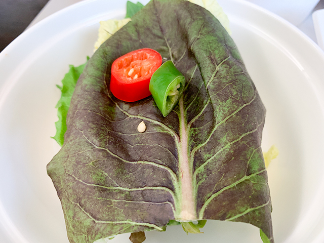 様々な種類の葉野菜たち