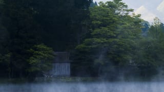 金鱗湖　朝霧