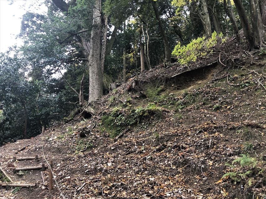 白石神社からの登山道