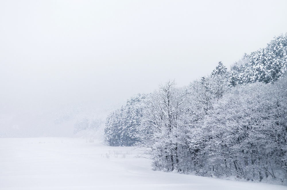 【日本の冬絶景】寒いからぬくもりが嬉しいストーブ列車　青森県の雪景色