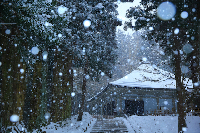 日本の冬絶景 冬の世界文化遺産を訪れたい 岩手県の雪景色 Tabizine 人生に旅心を