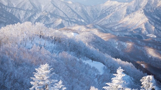 日本の冬絶景】旅情を揺さぶる冬景色がある 福島県の雪景色 | TABIZINE