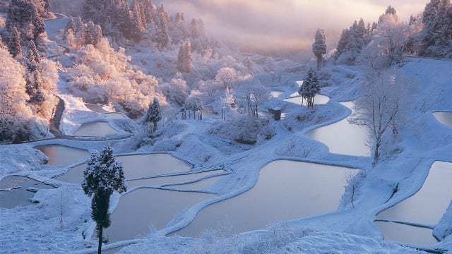 日本の冬絶景】雪国の伝統の美しさ 新潟県の雪景色 | TABIZINE～人生に