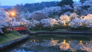 福岡県朝倉市「甘木公園」