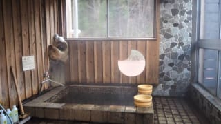 陰の湯