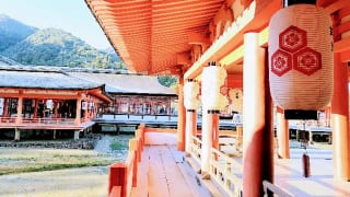 嚴島神社朝の朝