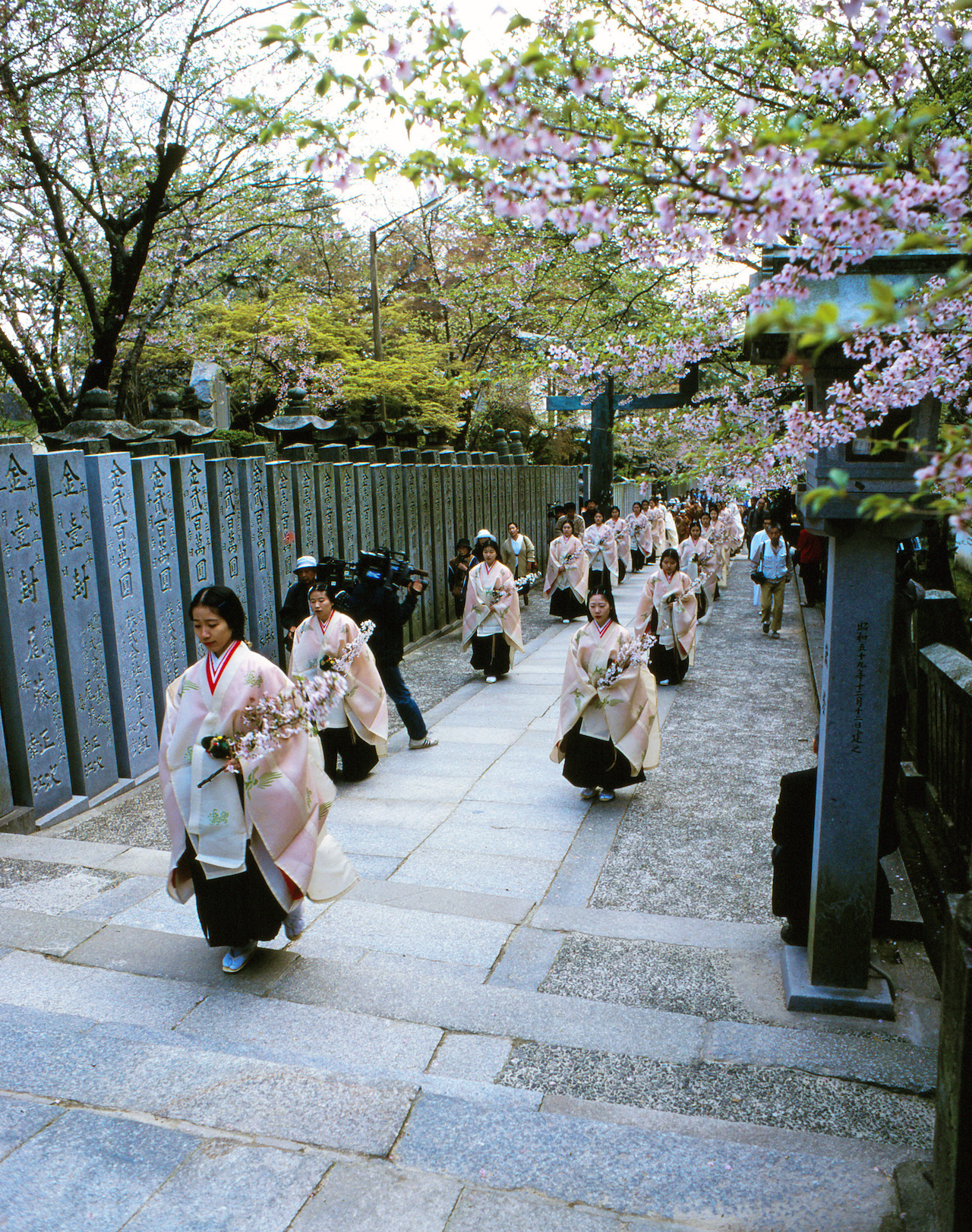 金比羅宮　桜花祭