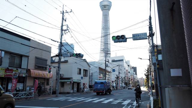 スカイツリーと信号