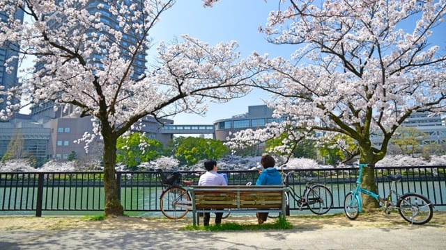 お花見特集 大阪の中心地を流れる川沿いにある圧巻の桜スポット 毛馬桜之宮公園 Tabizine 人生に旅心を