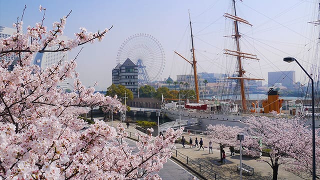 cherryさま専用4月（原画）横浜みなとみらい・桜が見える風景【A5／水彩画】 cherryさま専用4月（原画）横浜みなとみらい・桜が見える風景