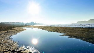 神奈川県立湘南海岸公園から見える海