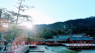 朝の嚴島神社
