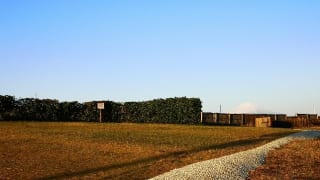神奈川県立湘南海岸公園内