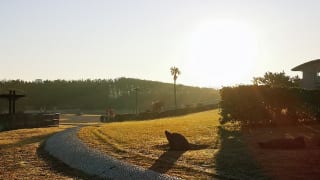 神奈川県立湘南海岸公園内