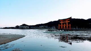 嚴島神社朝の大鳥居