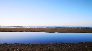 神奈川県立湘南海岸公園からの海の眺め