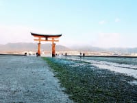 嚴島神社朝の大鳥居