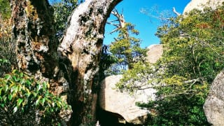 宮島弥山 くぐり岩