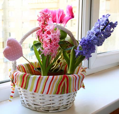 春 ガーデニングを始めよう 日陰 半日陰でも育つ花と植物たち Tabizine 人生に旅心を