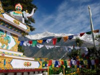 本国よりもチベットらしさが残る街！「幸福の谷ダラムサラ」へ