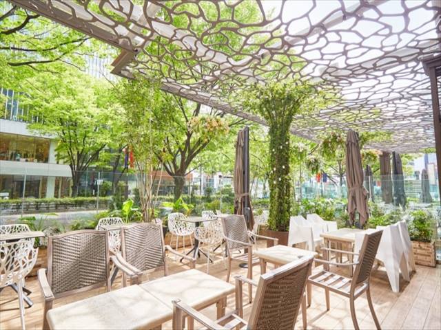 Cafe & Dining ZelkovA