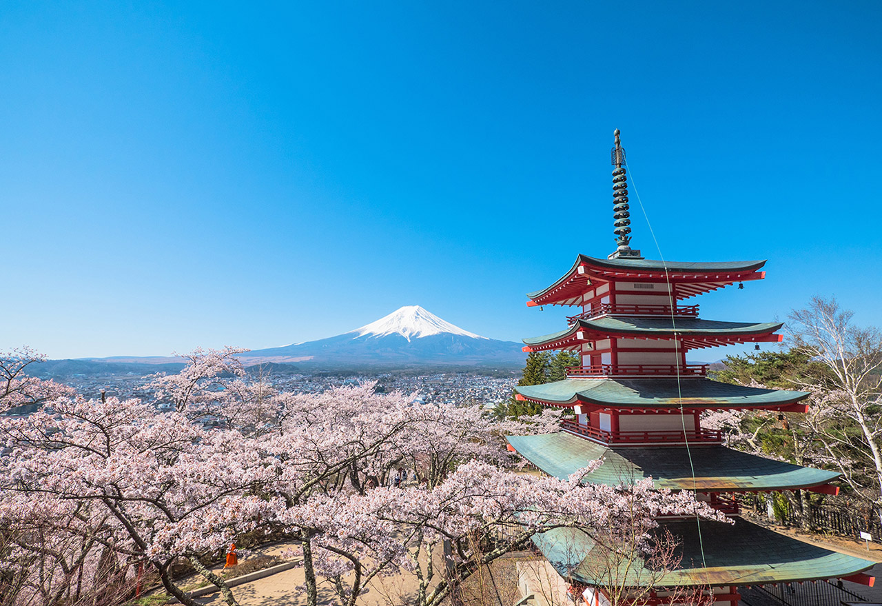 お花見特集2020富士山をバックに五重塔と桜が織りなす絶景「新倉山浅間公園」 ｜ ガジェット通信 GetNews