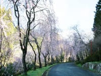 広島県世羅「甲山ふれあいの里」