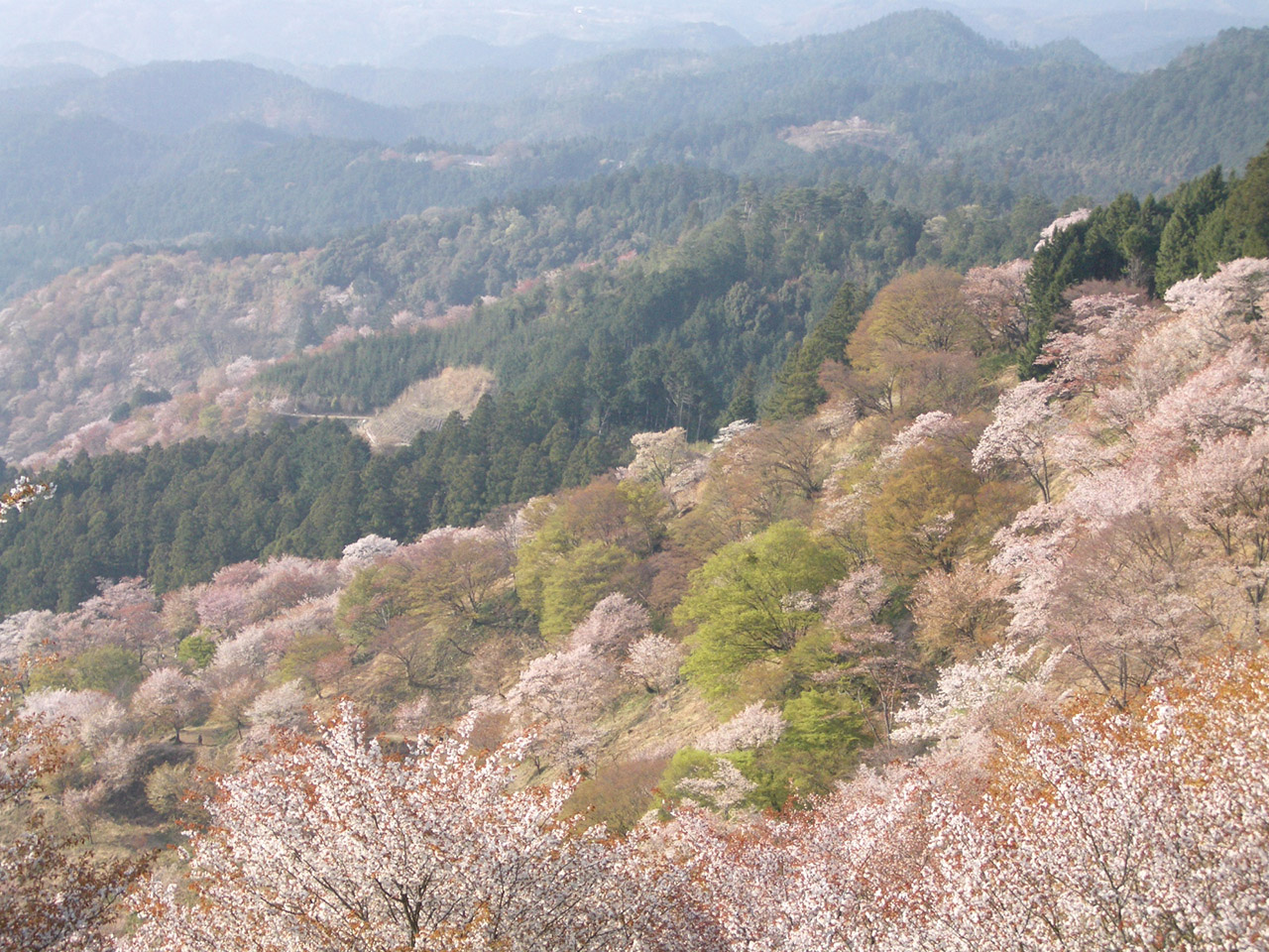 奈良県吉野山
