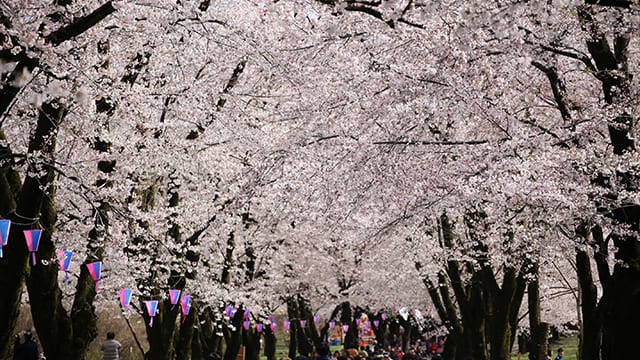 330312-04-640x360.jpg
