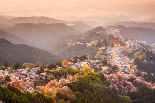 日本人ならぜひ覚えたい　風流漂う美しき「桜ことば」