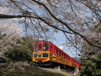【京都】トロッコ列車で行く京都嵯峨野のローカルな旅