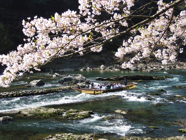 【京都】トロッコ列車で行く京都嵯峨野のローカルな旅